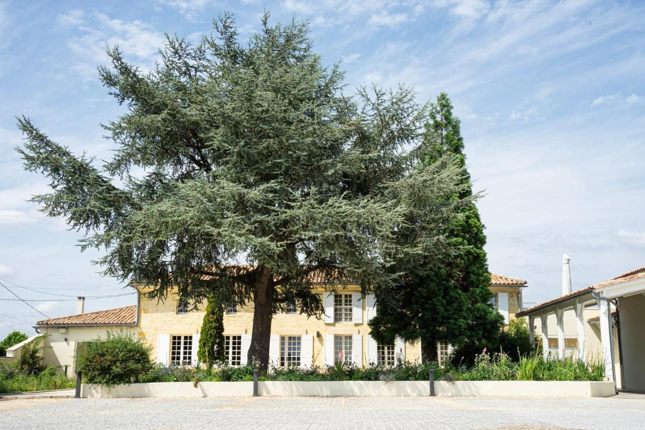 Chateau Haut-Brisson Vignonet エクステリア 写真